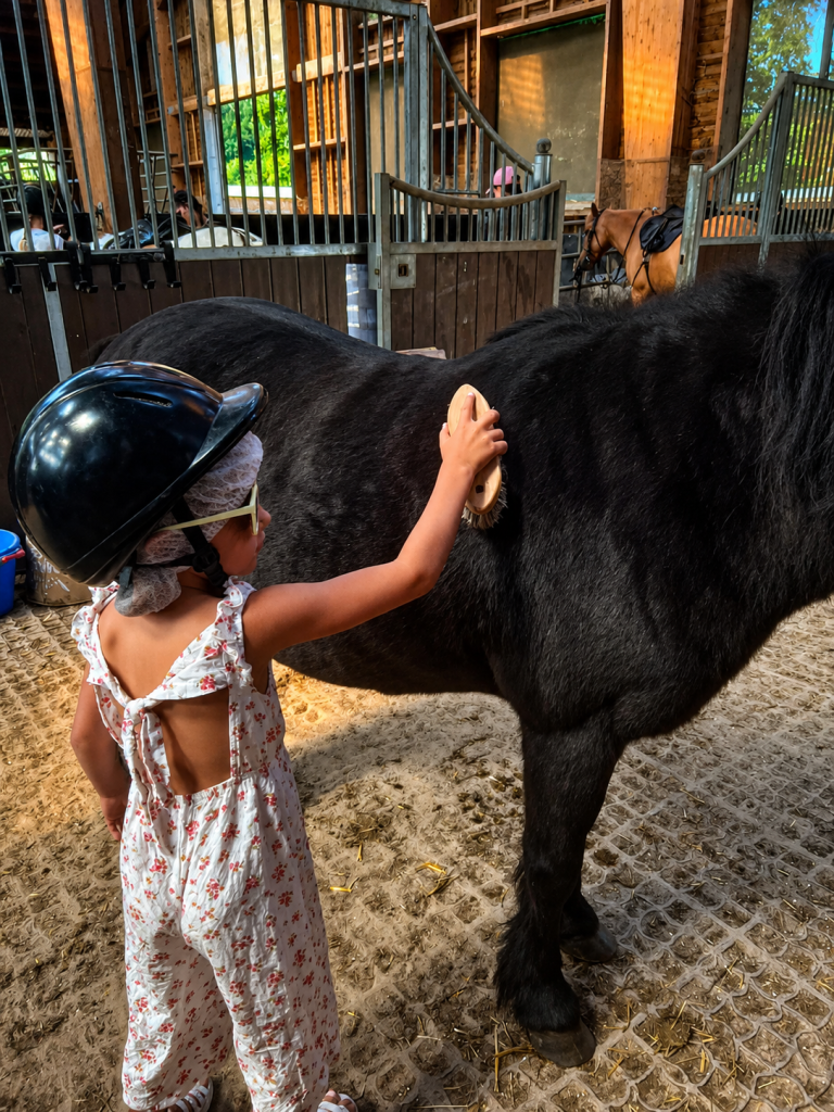 pansage d'un poney au Lieu Dieu